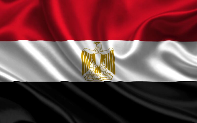 Egypt detains suspect in high-profile rape case