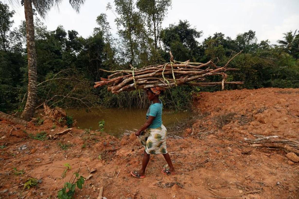 Ghanaian activists sue government to save forest from mine