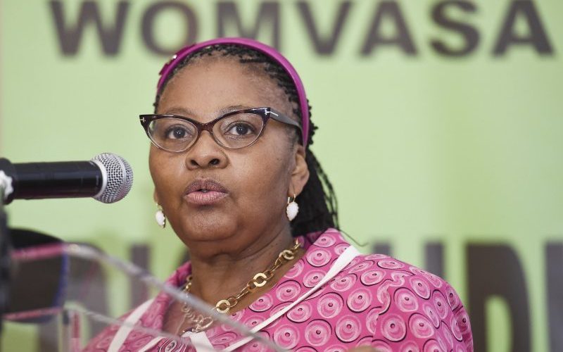 South African Defence Minister submits report on ANC trip to Zimbabwe
