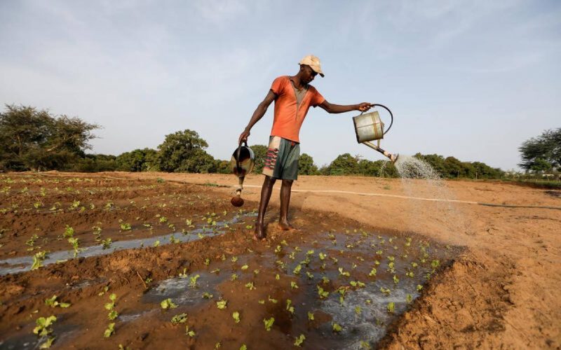 Why Africa must invest in digital agriculture