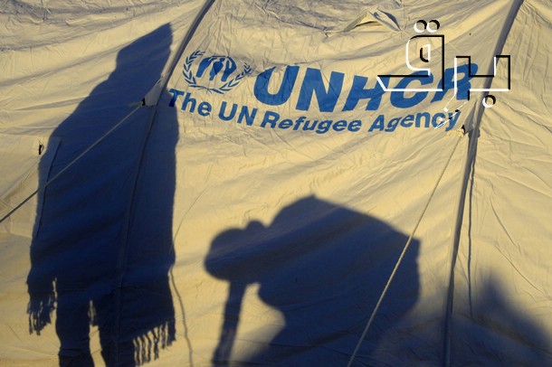 Half of violence against African migrants is by law enforcers, UN says