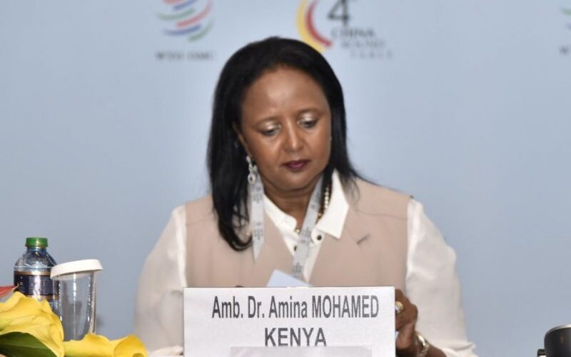Kenya’s WTO candidate says she will focus on climate change if selected