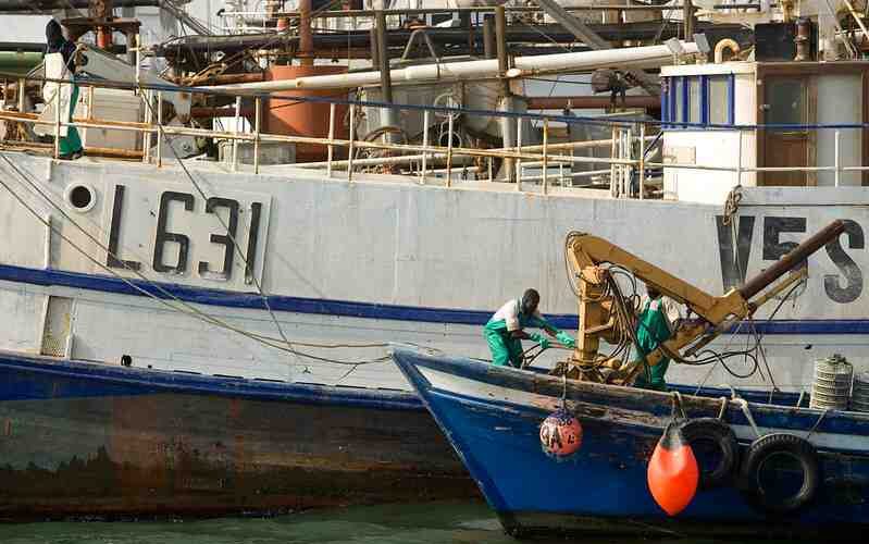 Namibia to auction fishing quota to raise money for COVID-19 medicines