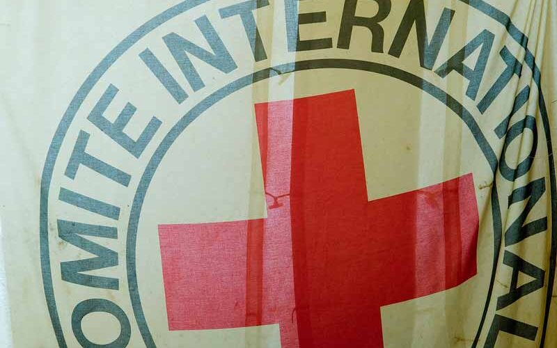 2 red cross workers abducted in Mali