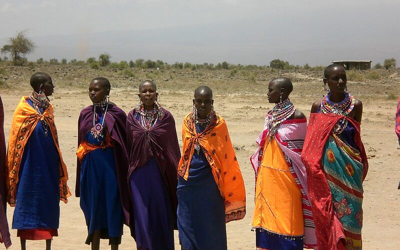 ‘No tourist, no dollar’: Pandemic decimates livelihoods of Kenya’s Maasai