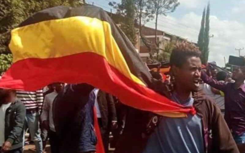 At least 10 dead in Ethiopia protests over autonomy – health officials