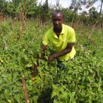 Swimming in tomatoes and bananas, Kenyan farmers count cost of COVID
