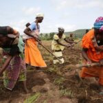 Woman-Farmers-working-their-fields_Dominic-Chavez-World-Bank