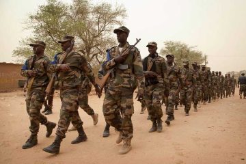 bird TenX: 10 African countries with the largest armies