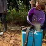 Small efforts can protect farmers from pesticides. Insights from Zambia