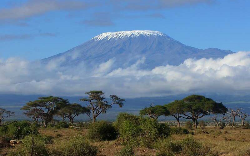 Fire breaks out on Mount Kilimanjaro, says Tanzania National Park