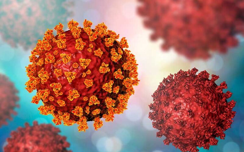 Coronavirus new variant – genomics researcher answers key questions