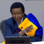 South Africa set out its priorities as president of UN Security Council
