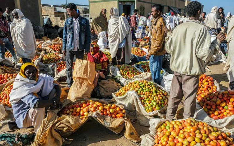 Food and healthcare in war-torn Tigray: preliminary insights on what’s at stake