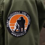 Six Virunga Park rangers killed in eastern Congo ambush