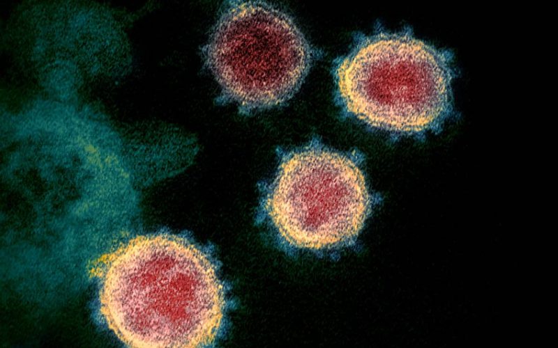 Coronavirus: a single ‘escape mutant’ shouldn’t render a vaccine useless