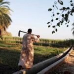 Egypt-Farmer-Irrigation-Canal