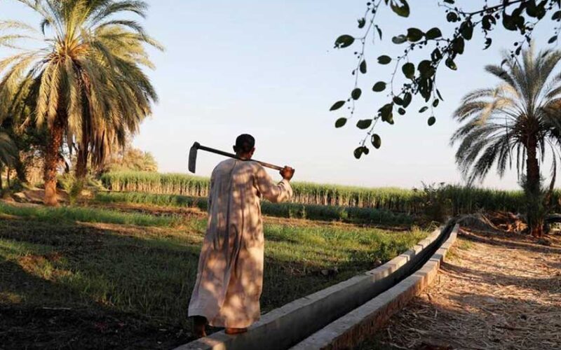 Egypt’s farmers tap new technology to save water and boost crops
