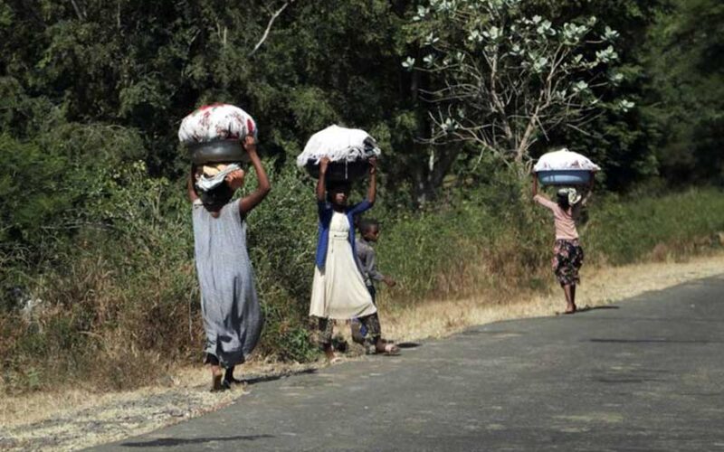 Widespread rape in conflict-hit Tigray
