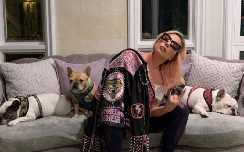 Lady Gaga’s dogs found, unharmed