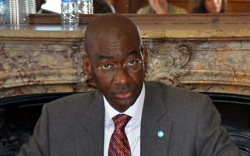Mali PM forms new govt
