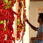 Nigerian artist creates rotting exhibit as coronavirus warning