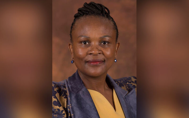 Double blow for South African Public Protector