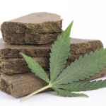 Cannabis-resin-&-leaf