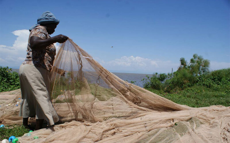 Solar lights help Kenyan women escape sex-for-fish trap