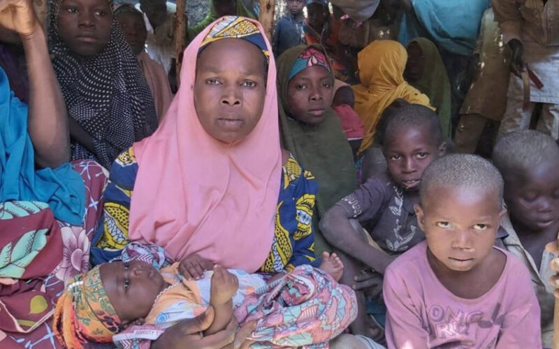 Nigerian villagers seek safety in Niger