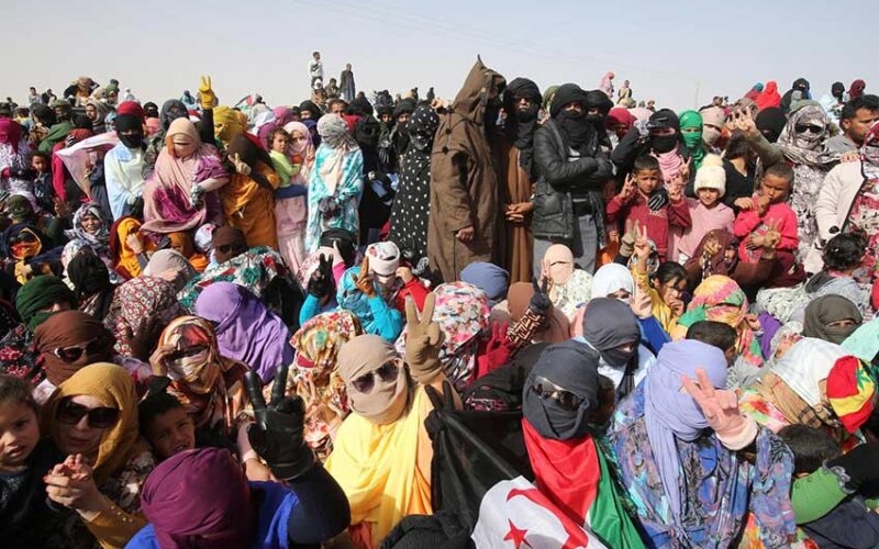 Refugees’ frustration drives renewed Western Sahara conflict