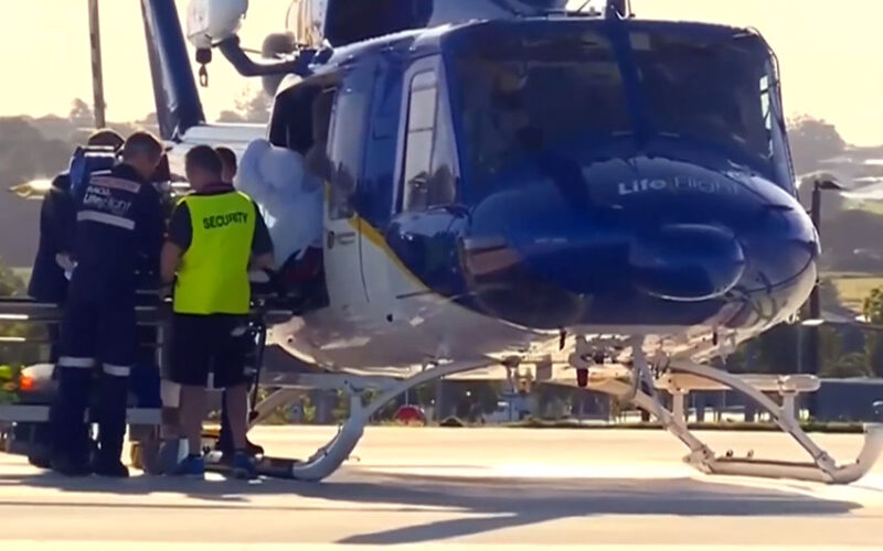 Toddler airlifted to hospital after dingo attack on Australia’s Fraser Island
