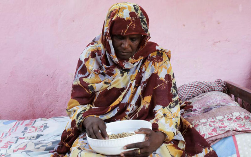 Sudan’s basic income scheme aims to ease economic pain