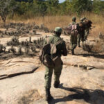 Rangers in Niassa National Reserve, Mozambique