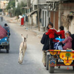 A-donkey-runs-as-Palestinians-flee-their-homes