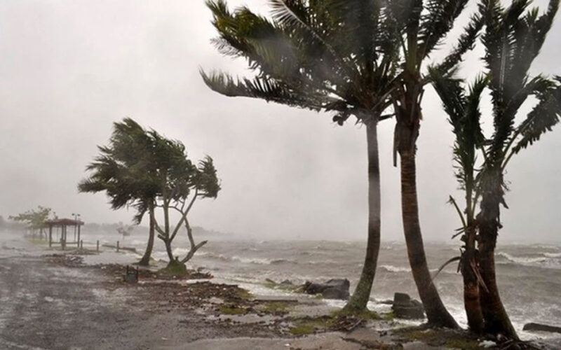 Thousands evacuated from India’s west coast as cyclone lashes states