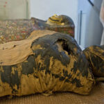 ‘Male’ Egyptian mummy was pregnant woman