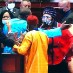 Pan-African-Parliament-fight-1