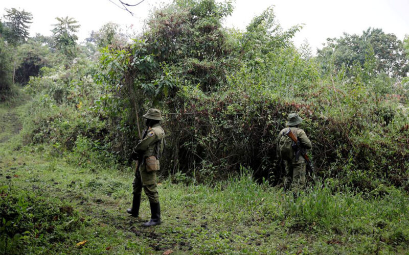 Arrested: Ivory trafficker blamed for DRC park killings