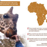 African countries bet on local tourists for revival