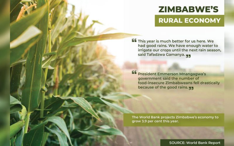 Farmers in Zimbabwe happier than city residents