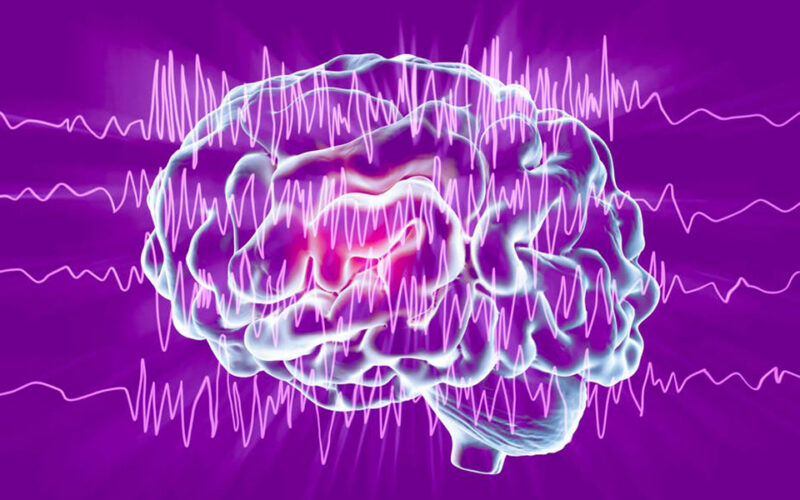 A plant grown in Nigeria shows potential for epilepsy treatment