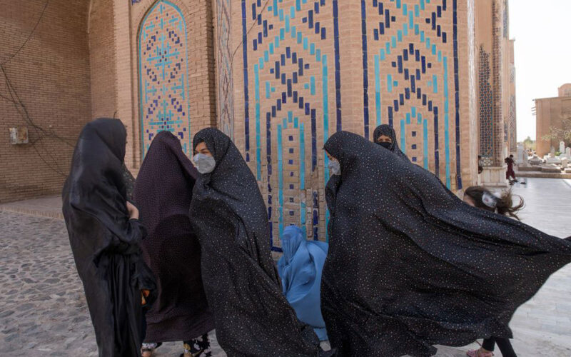 Taliban say women can study at university but classes must be segregated