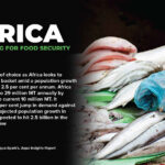 Africa goes fishing for food security, puts tilapia on the menu