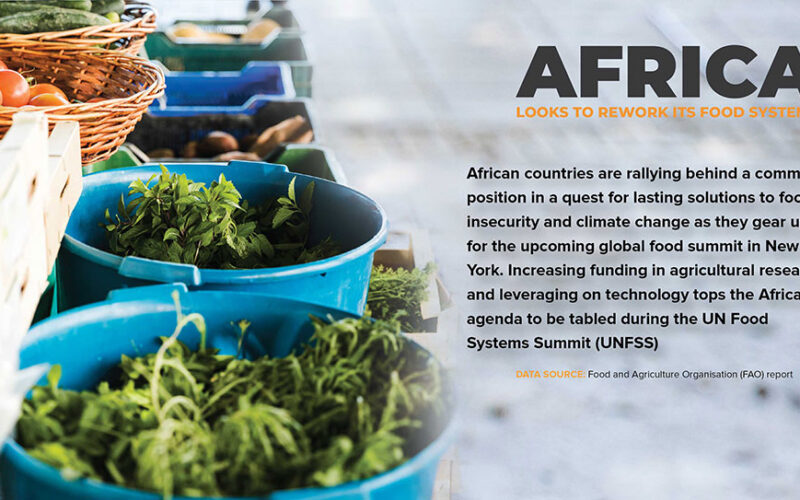 Africa looks to rework its food systems