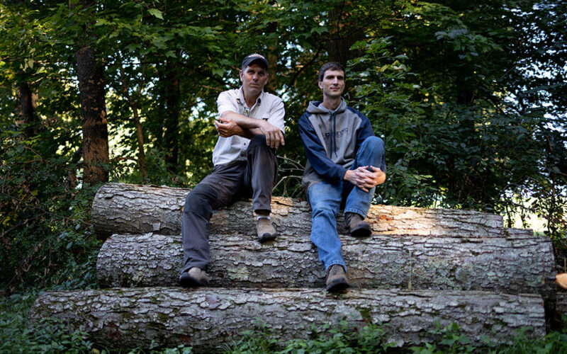 From Shanksville’s scorched woods, two arborists emerged as unsung heroes of 9/11