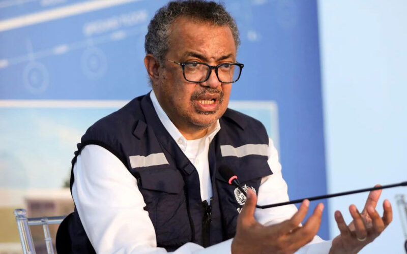 Germany seeks backing for Tedros at WHO helm as Africa quiet – diplomats