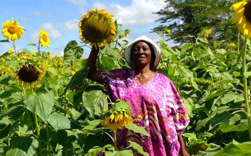 Africa’s sunflower queen’s big dreams