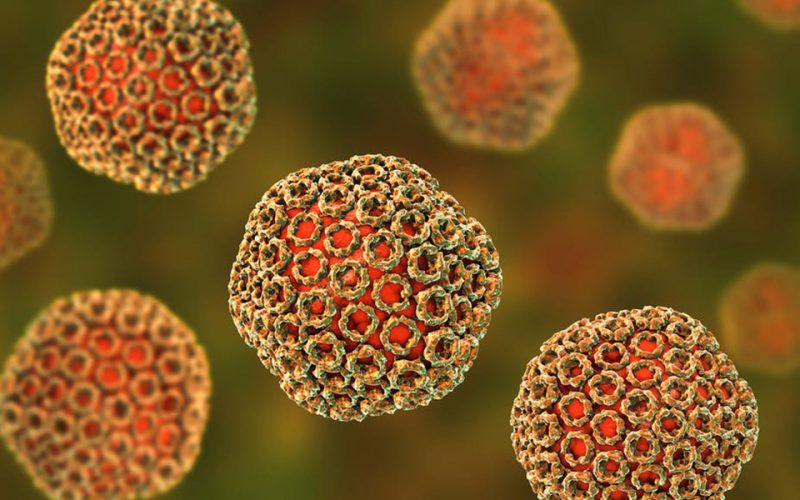 Top Kenyan scientist shares the joys and challenges of creating life-saving vaccines