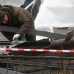 Ukraine_police-officer-inspects-the-remains-of-a-missile